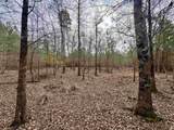 106.6 Acres-TBD Highway 52 - Photo 22