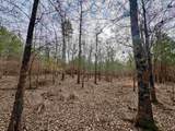 106.6 Acres-TBD Highway 52 - Photo 23
