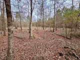 106.6 Acres-TBD Highway 52 - Photo 24