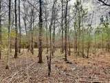 106.6 Acres-TBD Highway 52 - Photo 27
