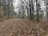 106.6 Acres-TBD Highway 52 - Photo 28