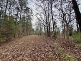 106.6 Acres-TBD Highway 52 - Photo 29