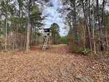 106.6 Acres-TBD Highway 52 - Photo 31