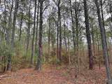 106.6 Acres-TBD Highway 52 - Photo 34