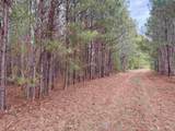 106.6 Acres-TBD Highway 52 - Photo 38