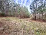 106.6 Acres-TBD Highway 52 - Photo 4