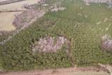 106.6 Acres-TBD Highway 52 - Photo 41