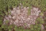 106.6 Acres-TBD Highway 52 - Photo 42