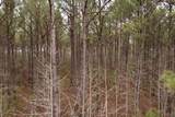 106.6 Acres-TBD Highway 52 - Photo 46
