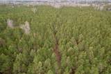 106.6 Acres-TBD Highway 52 - Photo 47