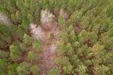 106.6 Acres-TBD Highway 52 - Photo 49