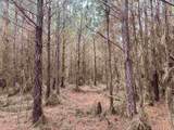106.6 Acres-TBD Highway 52 - Photo 5