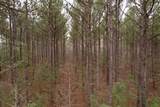 106.6 Acres-TBD Highway 52 - Photo 53