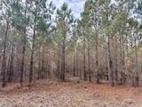 106.6 Acres-TBD Highway 52 - Photo 6