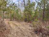 106.6 Acres-TBD Highway 52 - Photo 7