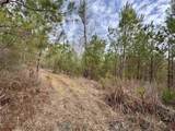 106.6 Acres-TBD Highway 52 - Photo 8