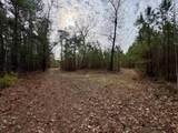 106.6 Acres-TBD Highway 52 - Photo 9