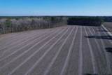 23.30 Acres-TBD Dainty Ave - Photo 15