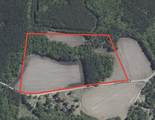 23.30 Acres-TBD Dainty Ave - Photo 19