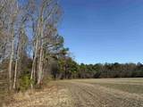 23.30 Acres-TBD Dainty Ave - Photo 3