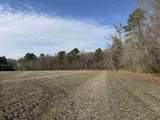 23.30 Acres-TBD Dainty Ave - Photo 4