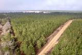 25.93Acres-4567 Dunham Rd - Photo 1