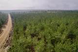25.93Acres-4567 Dunham Rd - Photo 11