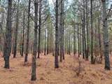 25.93Acres-4567 Dunham Rd - Photo 14