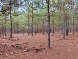 25.93Acres-4567 Dunham Rd - Photo 15