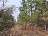 25.93Acres-4567 Dunham Rd - Photo 17
