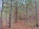 25.93Acres-4567 Dunham Rd - Photo 18
