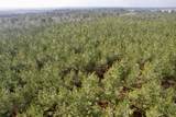 25.93Acres-4567 Dunham Rd - Photo 2