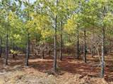 25.93Acres-4567 Dunham Rd - Photo 6