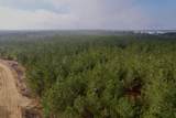 25.93Acres-4567 Dunham Rd - Photo 7