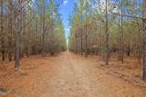 TBD 183 Acres Blakely Rd. - Photo 10