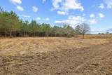 TBD 183 Acres Blakely Rd. - Photo 11