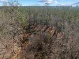 TBD 183 Acres Blakely Rd. - Photo 14