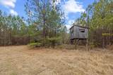 TBD 183 Acres Blakely Rd. - Photo 2