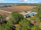 TBD 183 Acres Blakely Rd. - Photo 24