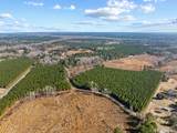 TBD 183 Acres Blakely Rd. - Photo 28