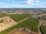 TBD 183 Acres Blakely Rd. - Photo 29