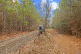 TBD 183 Acres Blakely Rd. - Photo 3