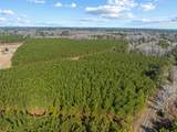 TBD 183 Acres Blakely Rd. - Photo 30