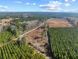 TBD 183 Acres Blakely Rd. - Photo 31