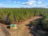 TBD 183 Acres Blakely Rd. - Photo 32
