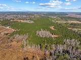 TBD 183 Acres Blakely Rd. - Photo 34