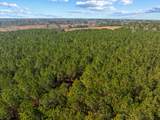 TBD 183 Acres Blakely Rd. - Photo 35