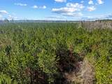 TBD 183 Acres Blakely Rd. - Photo 36