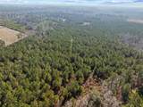 TBD 183 Acres Blakely Rd. - Photo 37