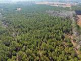 TBD 183 Acres Blakely Rd. - Photo 38